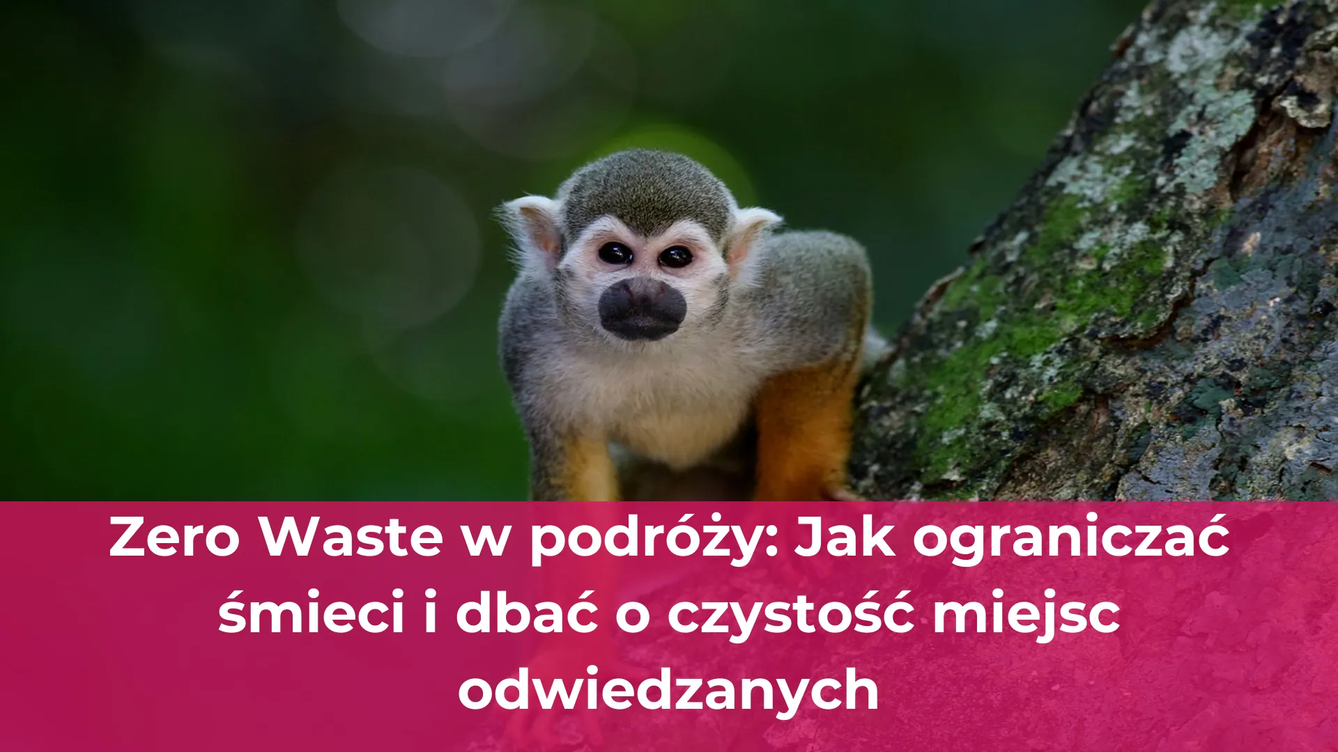 Zero waste w podróży jak ograniczać śmieci i dbać o czystość miejsc odwiedzanych