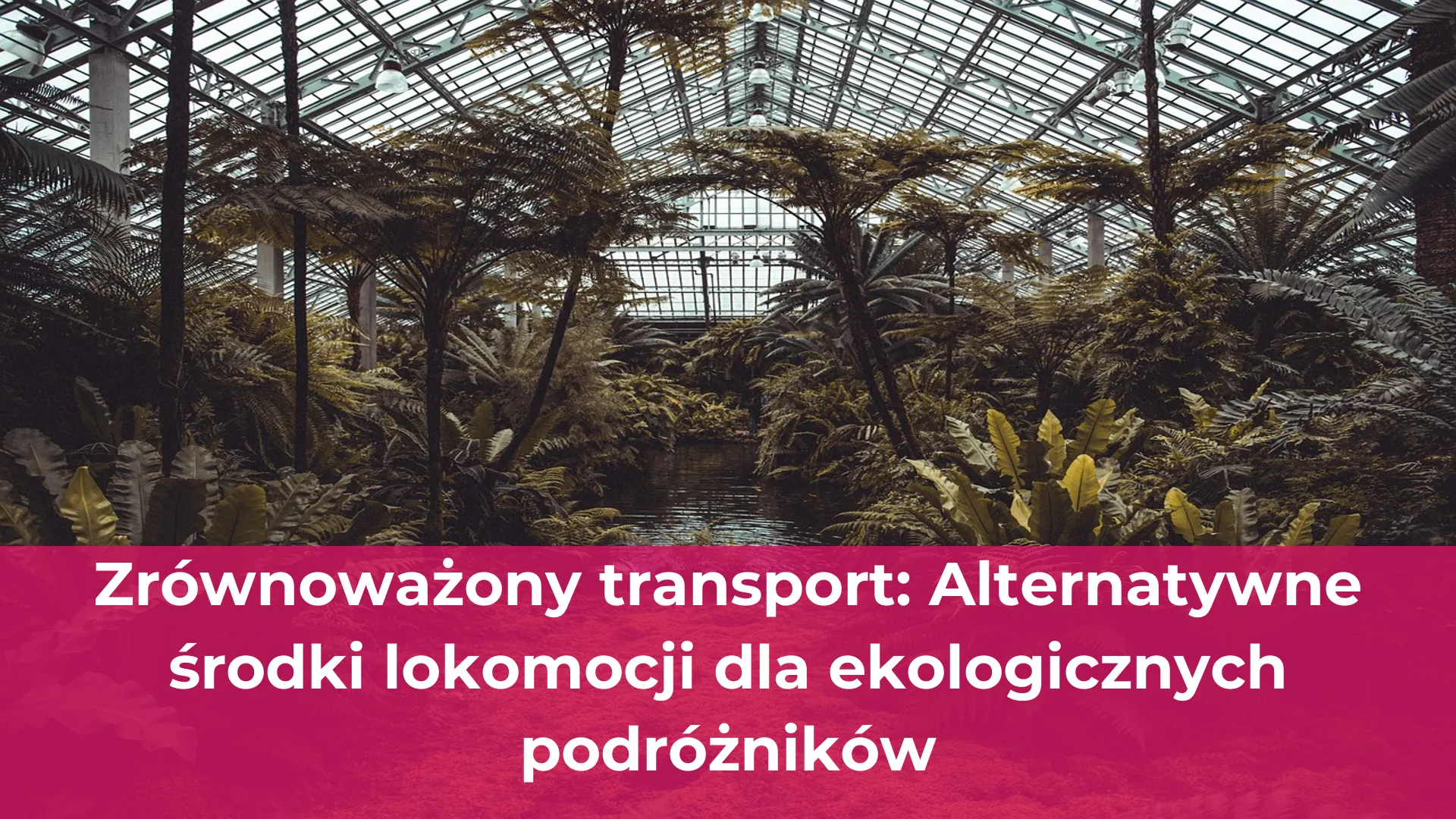 Zrównoważony transport alternatywne środki lokomocji dla ekologicznych podróżników